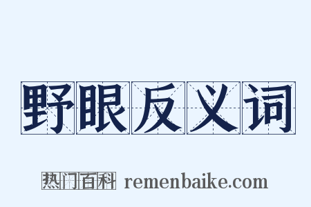 野眼反义词是什么意思的图片